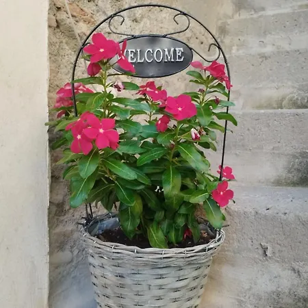 Apartamento La Casa Di Fabiola *